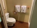 Guest Bathroom / Toilet & Shower Separate from Lavatory 